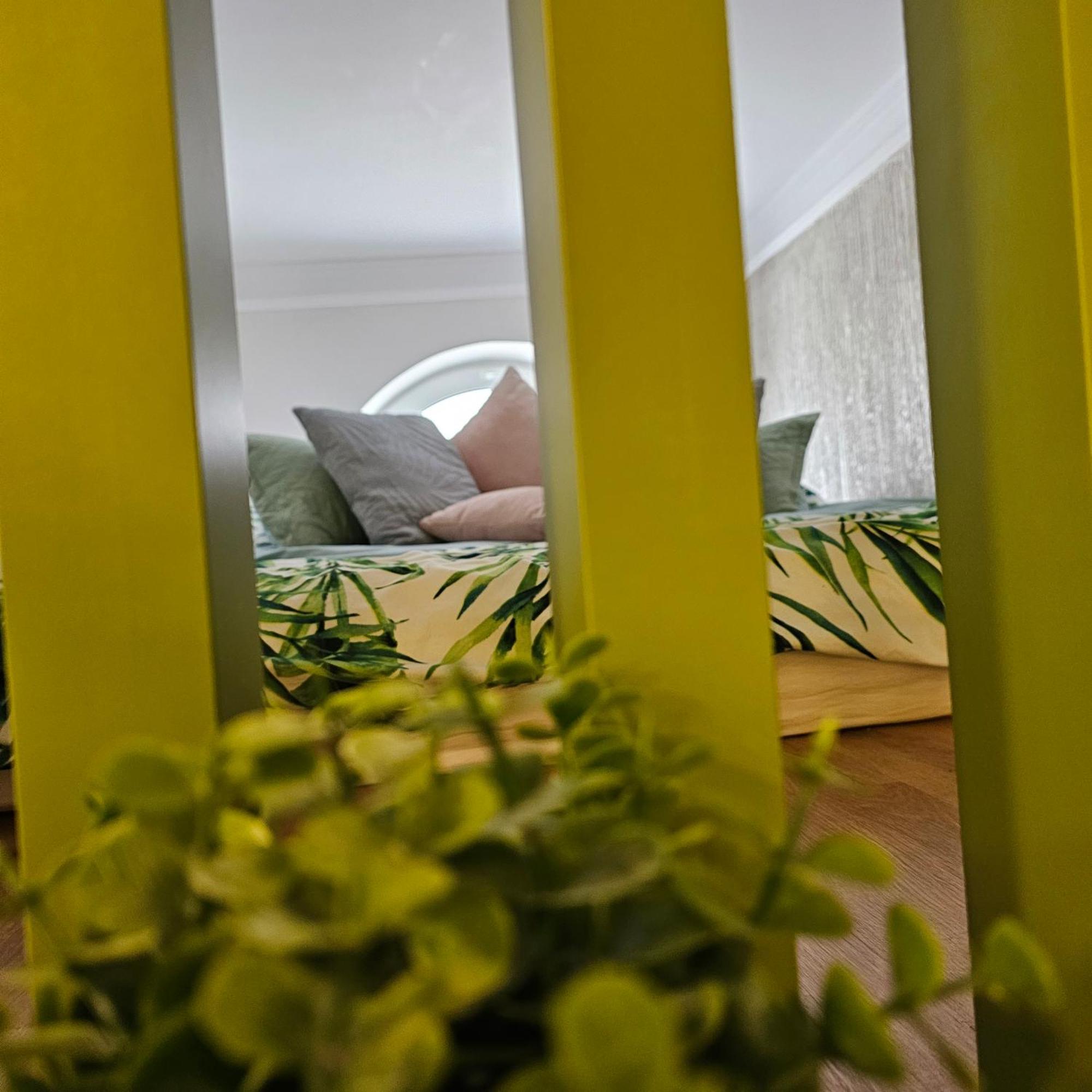 Apartament M Ватра Дорней Екстериор снимка
